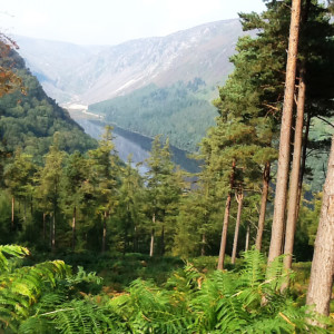 The Wicklow Way
