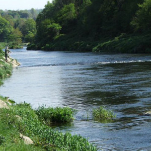Angling on the River Slaney
