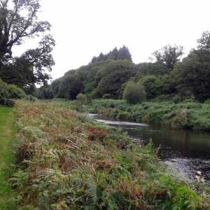 Canal Bank Path
