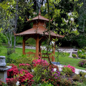The Japanese Gardens