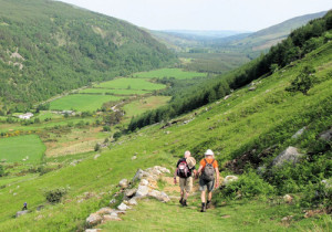 Hill Walking in Wicklow