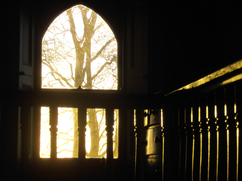 GalLiveSillouette