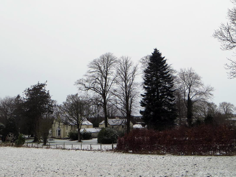 GalLiveSnow