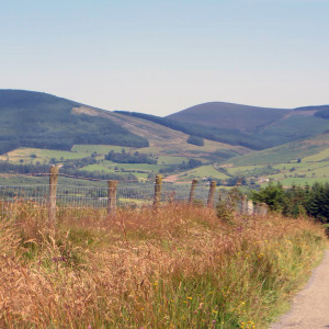 Mountain Road